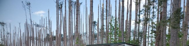 Bill-and-Cathy-Hughes-89-aspect-ratio-1920-476 Storm Damage Repair