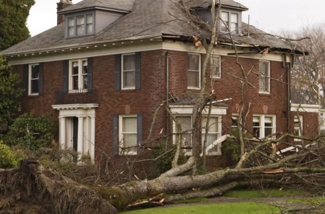 Homepage-banner-2-min-aspect-ratio-730-480 Storm Damage