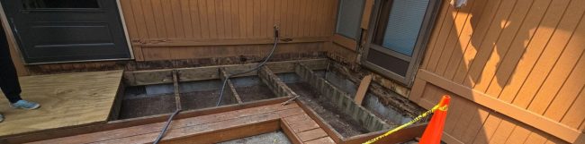 Jeanette K Project House