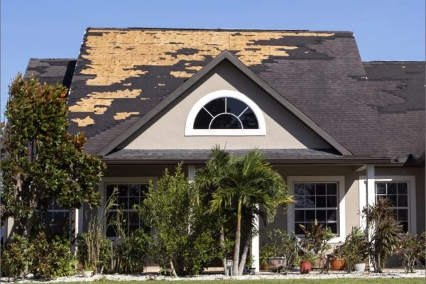 Windfall Construction